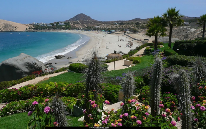 Playa Blanca Chile